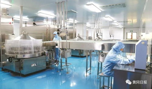 对标先进 破冰突围 宜昌化工产业转型升级的破局之路